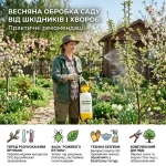 Календар обприскування саду за фазами розвитку дерев